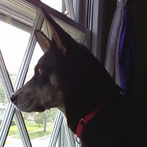 Meet your Posher, Selena